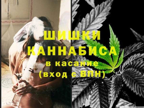 стафф Осинники