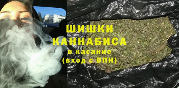 PSILOCYBIN Няндома