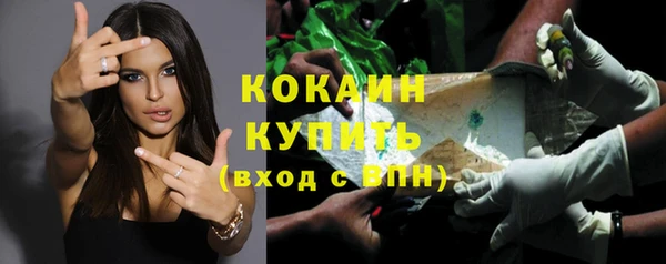 стафф Осинники