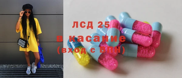 стафф Осинники