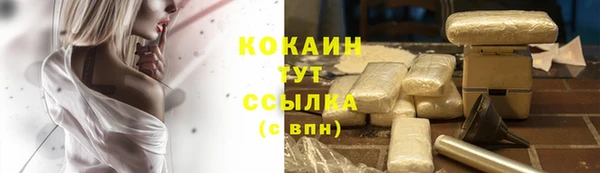 PSILOCYBIN Няндома